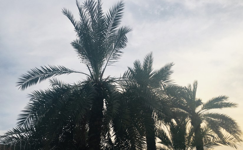 اثنا عشر خريفاً