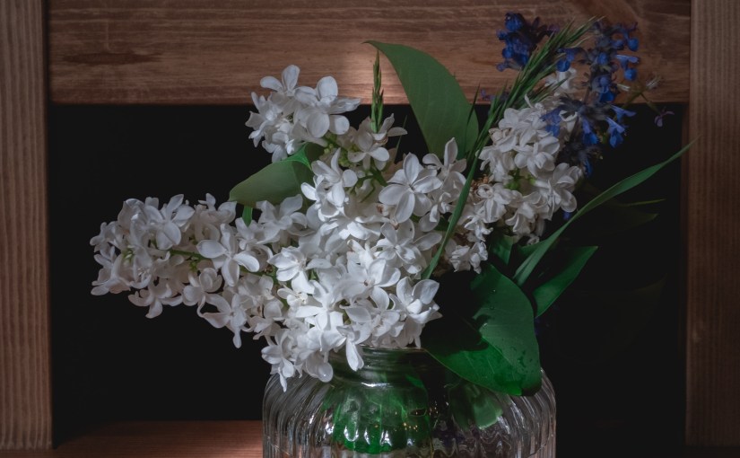 ناحية سُهيل اليماني