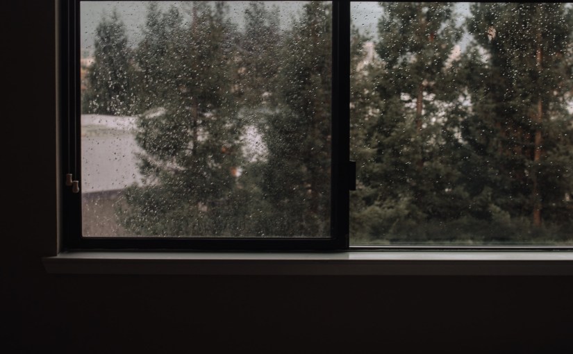 بلادة هانئة