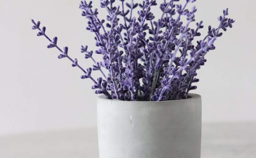 زيارة في منتصف&nbsp;القلب